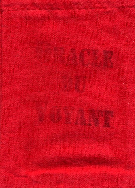 Oraculo Voyant  (51 Cartas Pocket) (En) (HAS)         ...