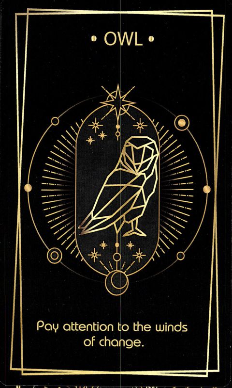 Oraculo La Muci Oracle (EN) - La Muci Design -...