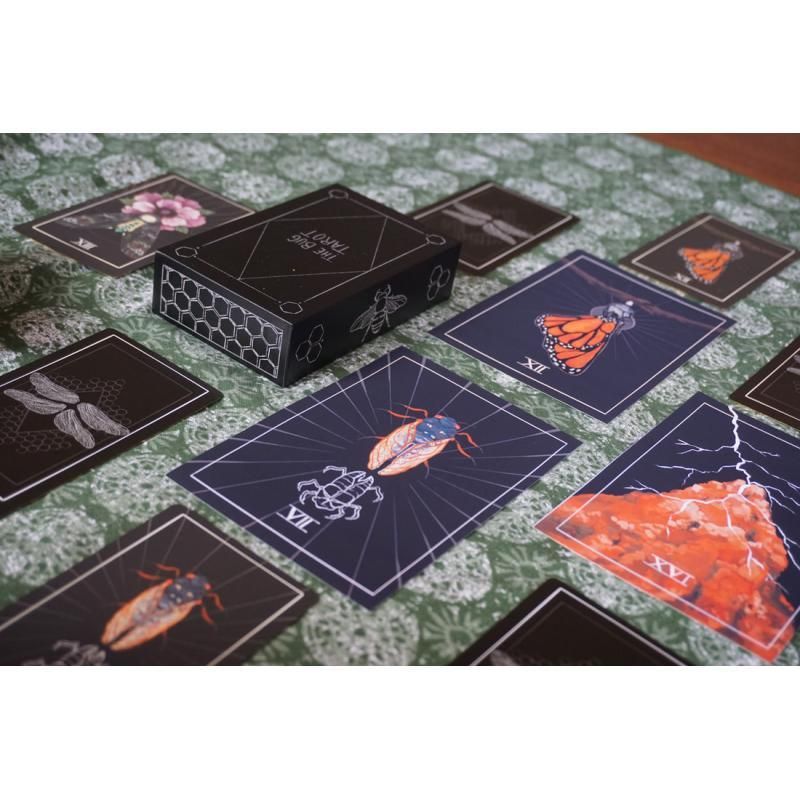 Tarot Coleccion The Bug Tarot (Selby Burke) (EN) (KS)...