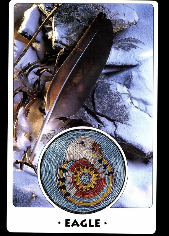 Tarot coleccion White Eagle Medicine Wheel -...