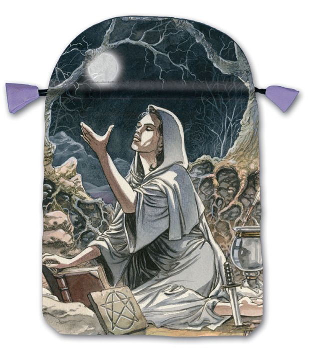 Bolsa Tarot Seda Luna Pagana 23 x 16 cm Rosa (Motivo...